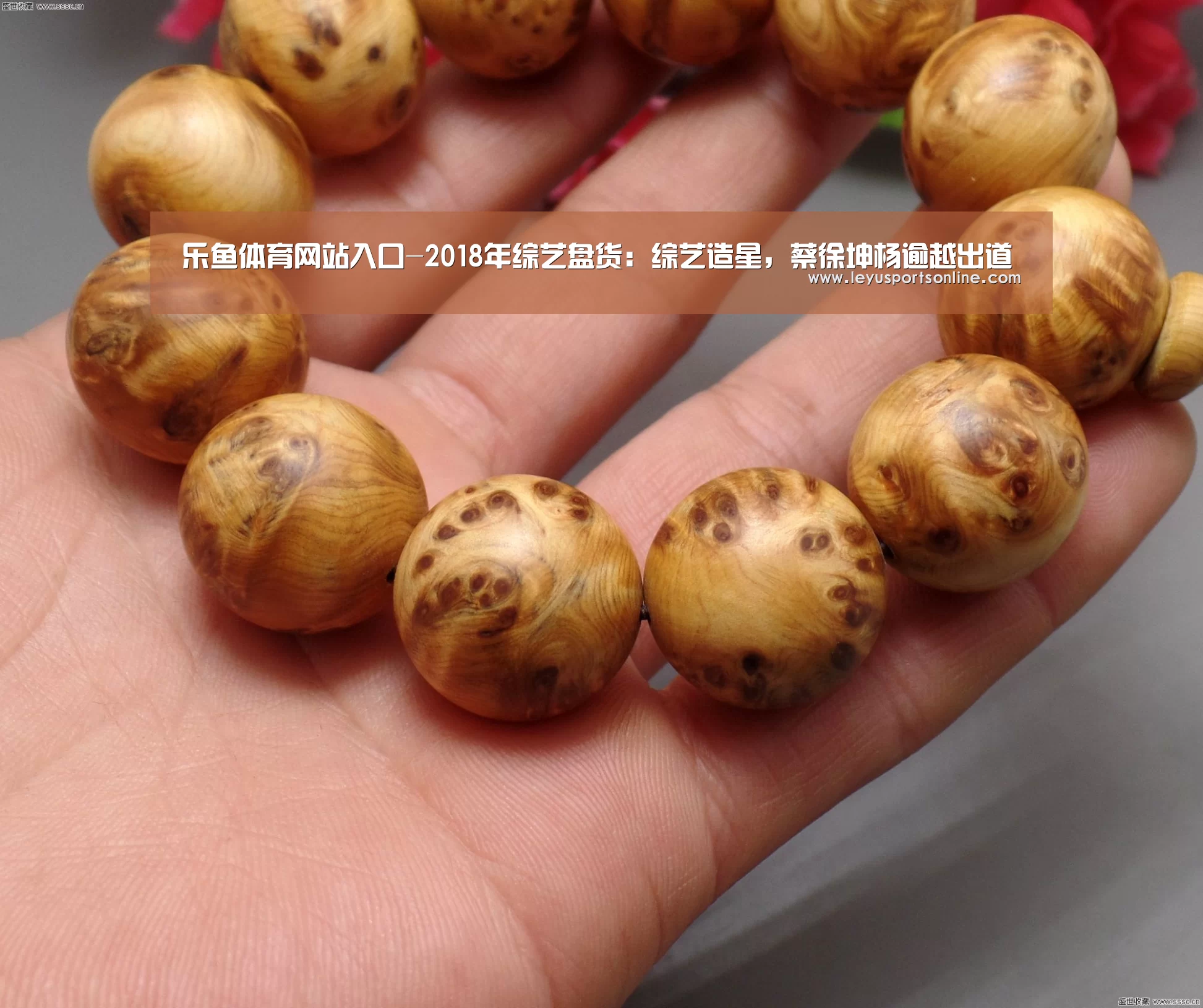 乐鱼体育网站入口-2018年综艺盘货:综艺造星,蔡徐坤杨逾越出道(图1) 乐鱼体育