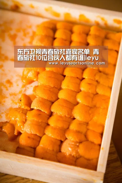 东方卫视青春旅社嘉宾名单 青春旅社10位合伙人都有谁|leyu(图1) 乐鱼体育网站入口